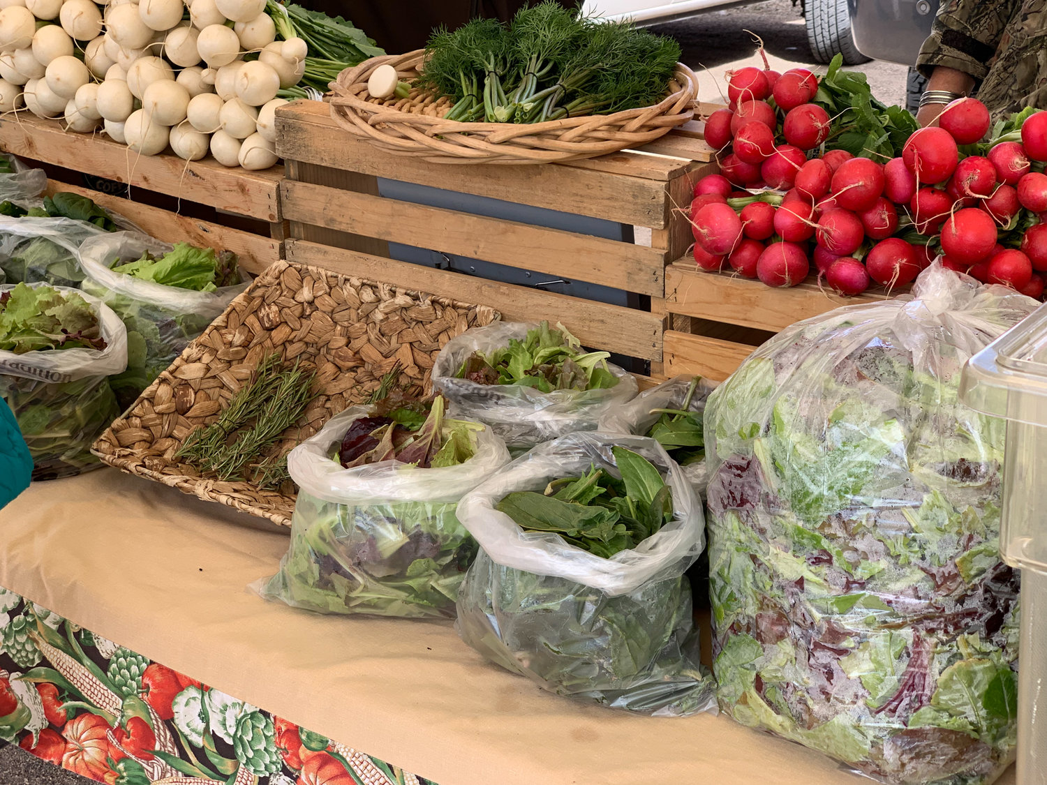 Fresh produce at Coralles Growers Market