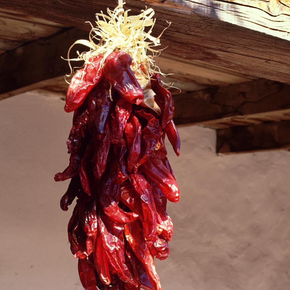 Large_Final CHILE